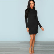 Mock Neck Form Fitting Dress