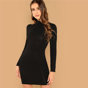 Stand Collar Long Sleeve Mini Dress