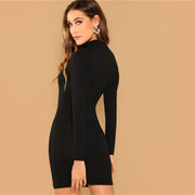 Stand Collar Long Sleeve Mini Dress