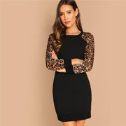 Leopard Print Color Block Mini Dress