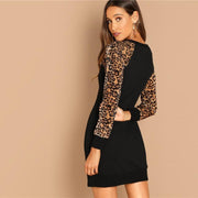 Leopard Print Color Block Mini Dress