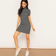 Stripe Turtle Pencil Dress